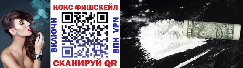 COCAIN Fish Scale  Шуя 