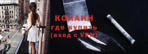 гашик Россошь