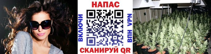 МАРИХУАНА OG Kush  Шуя 